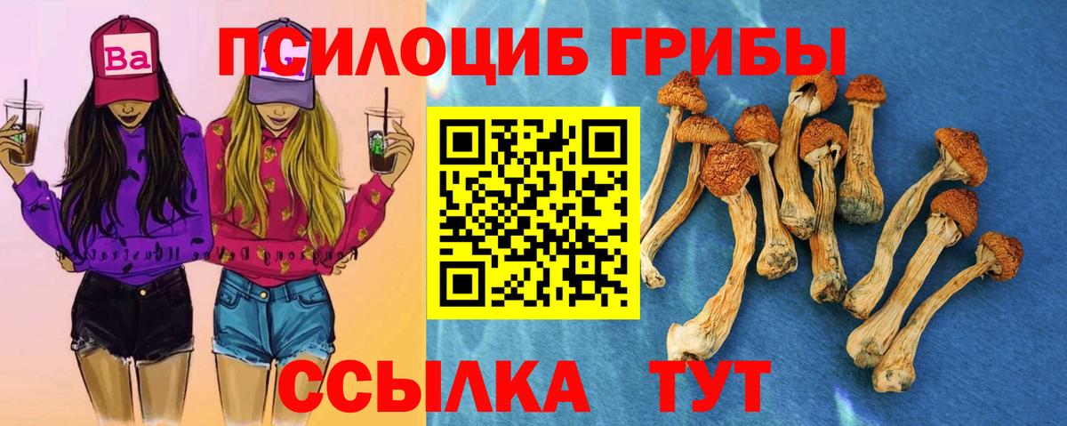 Псилоцибиновые грибы прущие грибы Волгодонск