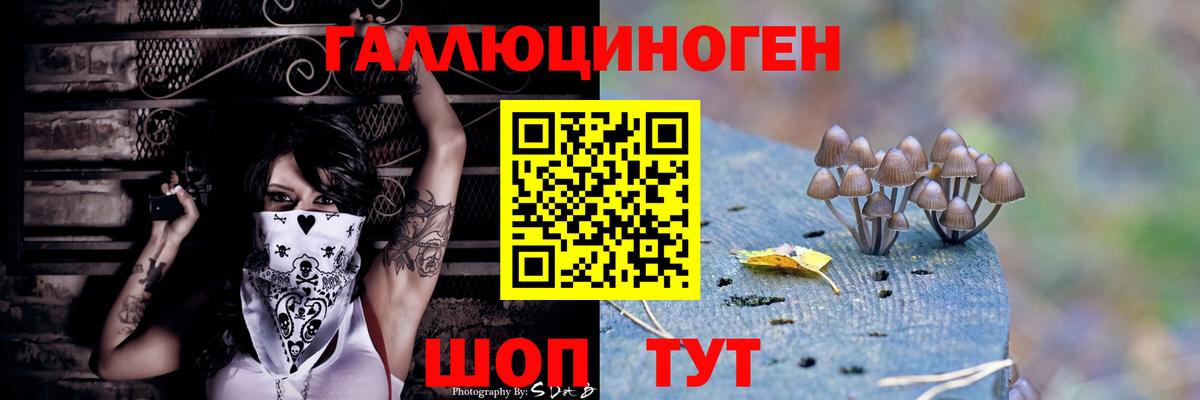 Галлюциногенные грибы мухоморы  Псилоцибиновые грибы мухоморы  Вход с VPN  Волгодонск 